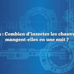 Question : Combien d’insectes les chauves-souris mangent-elles en une nuit ?